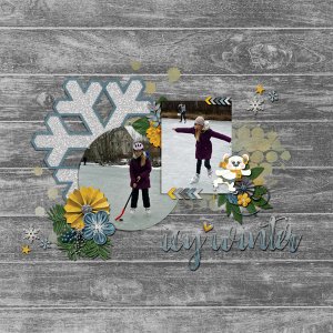 icy winter