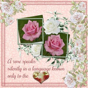 A rose speaks silently ...
