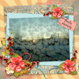 Frosty Morning