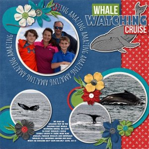 Whale Watching
