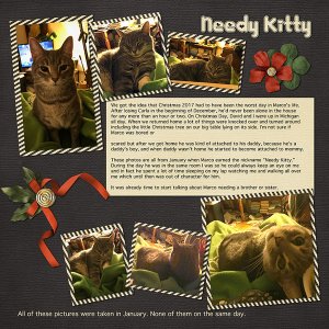 Needy Kitty (January 2018)