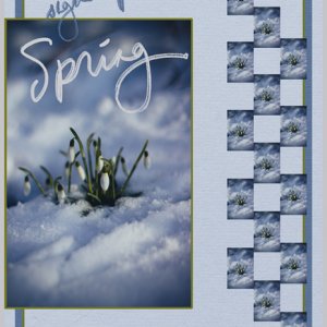 signs of Spring