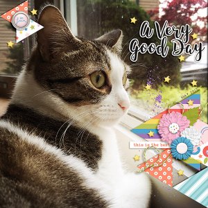 a very good day