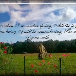 The Shadow of Your Smile