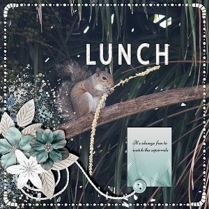 Lunch