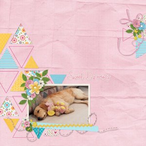Sweet Dreams