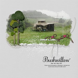 Hail Storm, Bushwillow, New Year Rally 2018