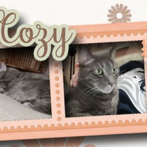 Facebook Header Challange-I followed the directions and used parts of the D