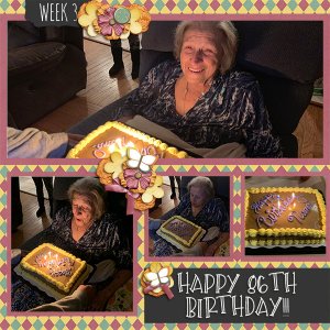 Jan 2019 Week 3
