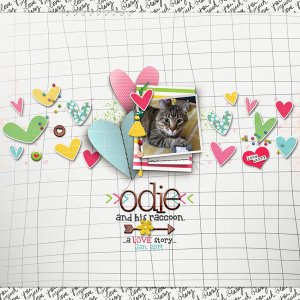 Odie + His Raccoon | Jan. 2019