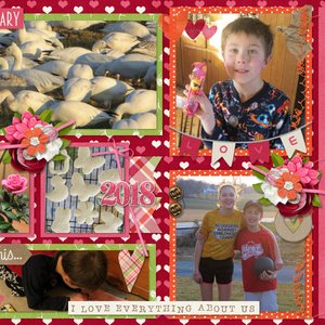 My February 2018