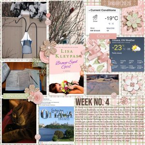 Project 365/52 Challenge 2019 Week 4
