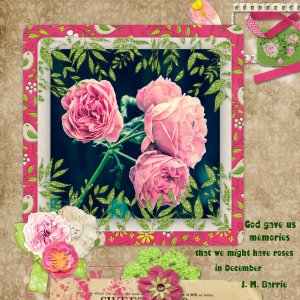 Roses15