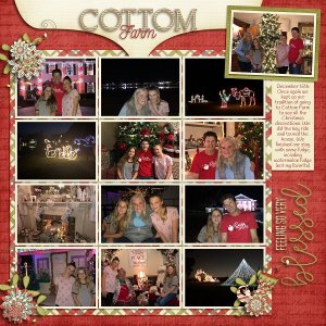 Cottom Farm 2018