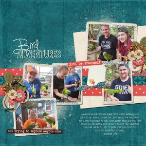 December-18-Honduras-BirdsWEB