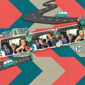 What a Trip