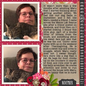 Gizmo adoption