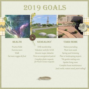 2019 Goals - Feb DDL challenge
