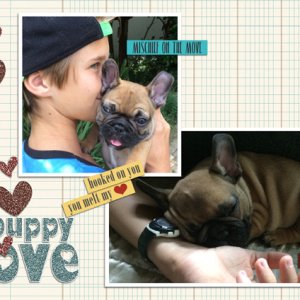 Puppy love