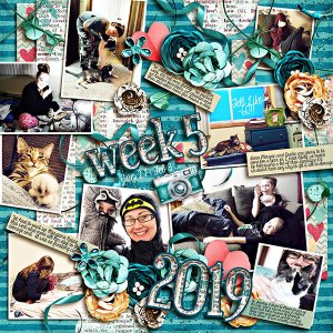 P52 Week 5 2019
