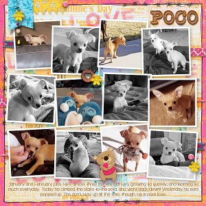 Poco pics
