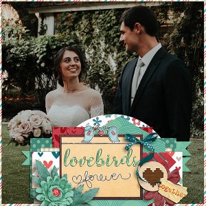 Lovebirds