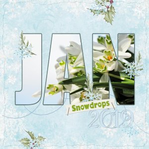 Snowdrops