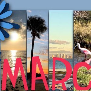 March 2019 Desktop