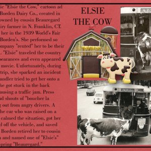 Elsie the Cow