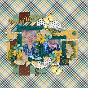 Moments and memories vol 8