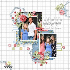 HOCO 2017