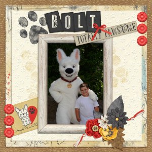 Bolt