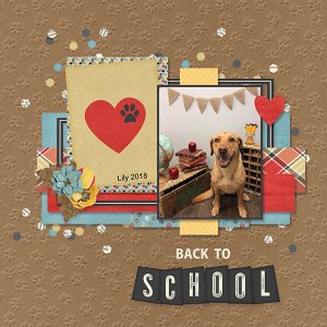 Lily, Back to School