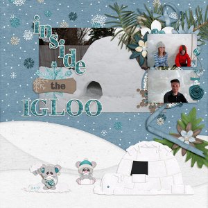Inside the Igloo