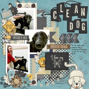Clean Dog