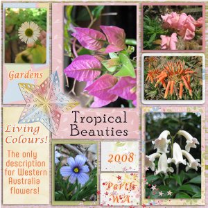Tropical Beauties