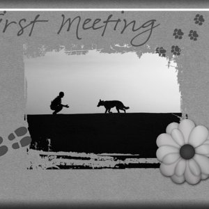 First Meeting