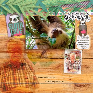 Sloth Love
