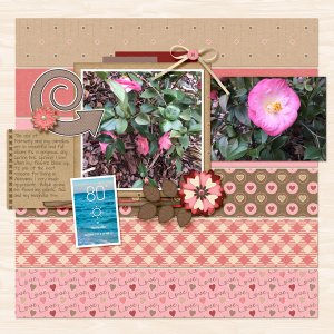 camellias