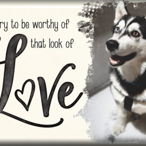 Look of Love
