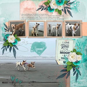 Beach Dogs