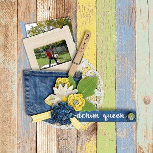 Denim-_-Daisies-Page-Kit-By-Magical-Scraps-Galore