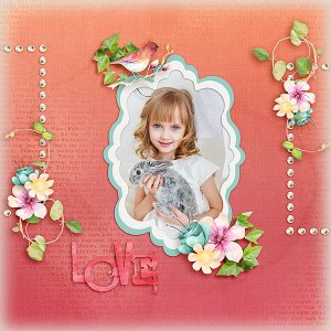 Love Bunny
