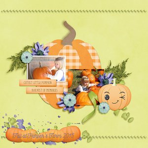 Pumpkin Patch