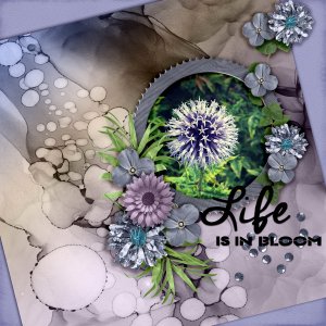 Life-is-in-bloom