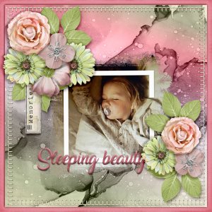 Sleeping-beauty4
