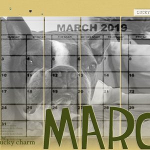 MARCH 2019