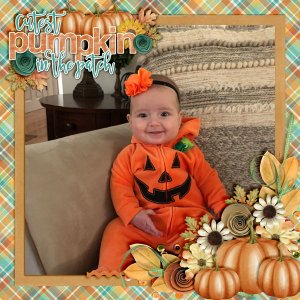 The-Cutest-Pumpkin