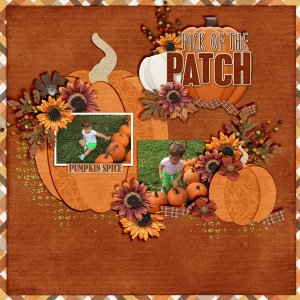 The-Patch2