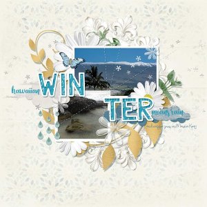 Hawaiian Winter
